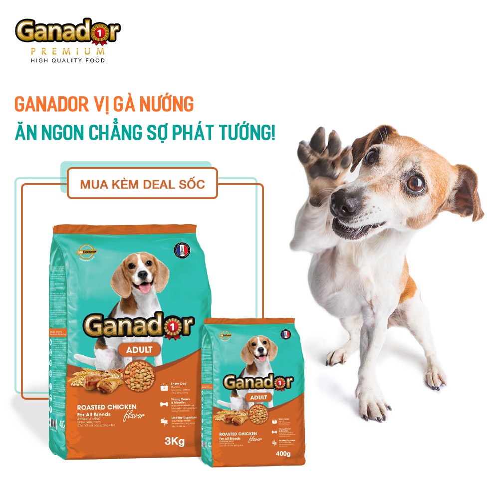 [400g] Ganador Thức ăn chó trưởng thành vị gà quay - Lida Pet Shop