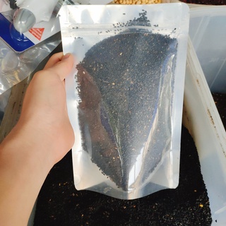 SẴN - 1KG HẠT VỪNG THƠM NGON CHƯA RANG