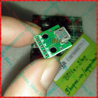 Bo chuyển micro USB 5 Pin DIP