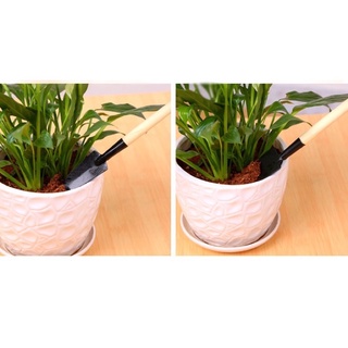 Bộ dụng cụ làm vườn mini
