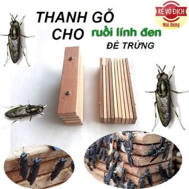 Bộ 10 thanh gỗ chuẩn cho ruồi lính đen chất lượng cao