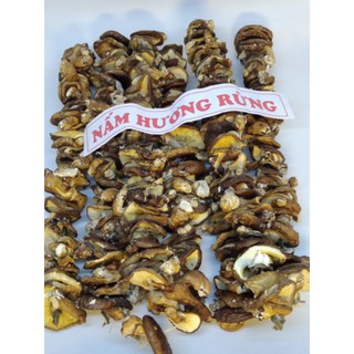 Nấm hương rừng