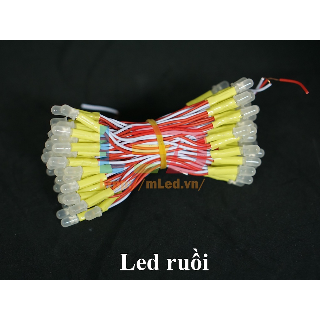 Led liền dây 100 bóng điện áp 5V và 12V, Led ruồi đơn sắc JIYI, IPY... (Trắng, đỏ, vàng, xanh lá...) [100 bóng/bó] | BigBuy360 - bigbuy360.vn