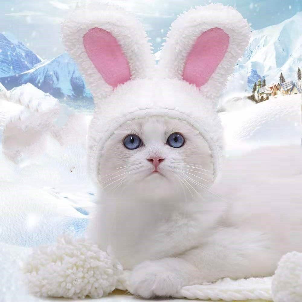 GIOVANNI Băng Đô Tai Thỏ Giữ Ấm Cho Mèo