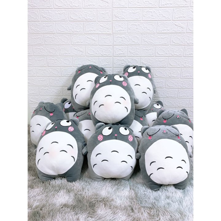 ❤️Free Ship❤️ Gấu bông gối ôm totoro chất liệu vải nhung cao cấp - hàng đúng chất lượng