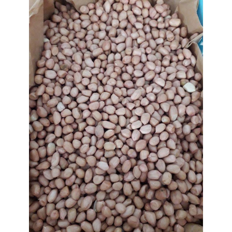 ĐẬU PHỘNG 100GR/ 500GR