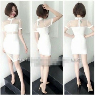Đầm body phối lưới cổ sơ mi