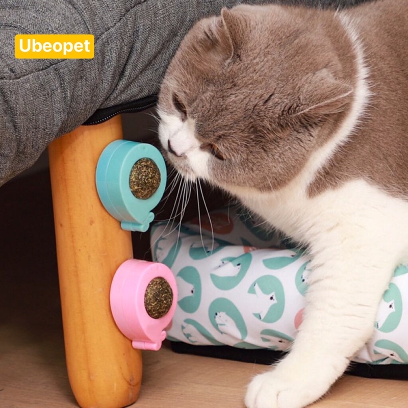 Cỏ Bạc Hà Gắn Tường Catnip Dạng Xoay Giúp Thư Giãn Tiêu Búi Lông Cho Mèo