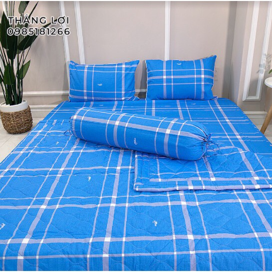 Drap Cotton 100% Thắng Lợi chính hãng Mẫu Sọc xanh dương IN LOGO THẮNG LỢI vệ sinh dễ dàng.