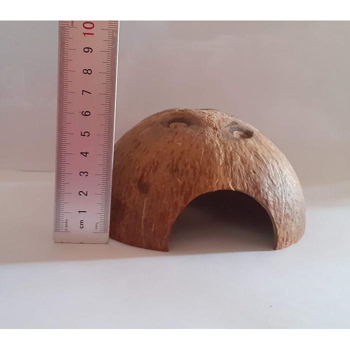 Nhà/hang cá gáo dừa | Cocodecor