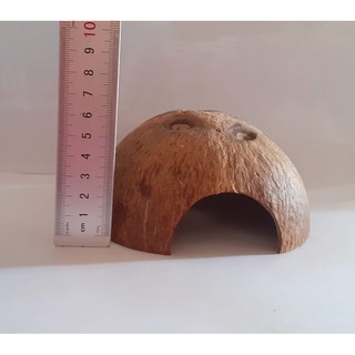 Nhà/hang cá gáo dừa | Cocodecor