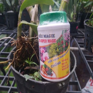 siêu magie  chống vàng lá, bạc lá, cháy lá, xoắn đọt