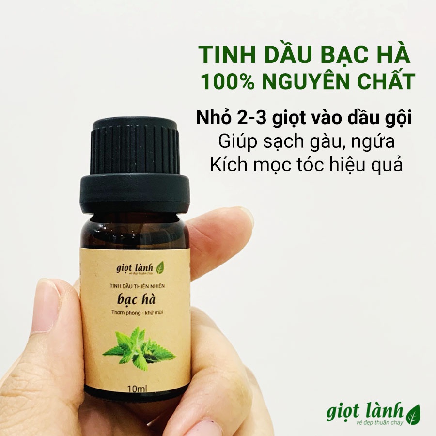 Dầu gội bồ kết - Tinh dầu bạc hà nguyên chất, giúp kích mọc tóc, giảm gàu, ngứa, rụng tóc Giọt Lành