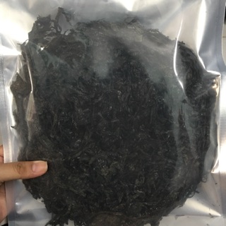 Rong biển Khánh Hoà