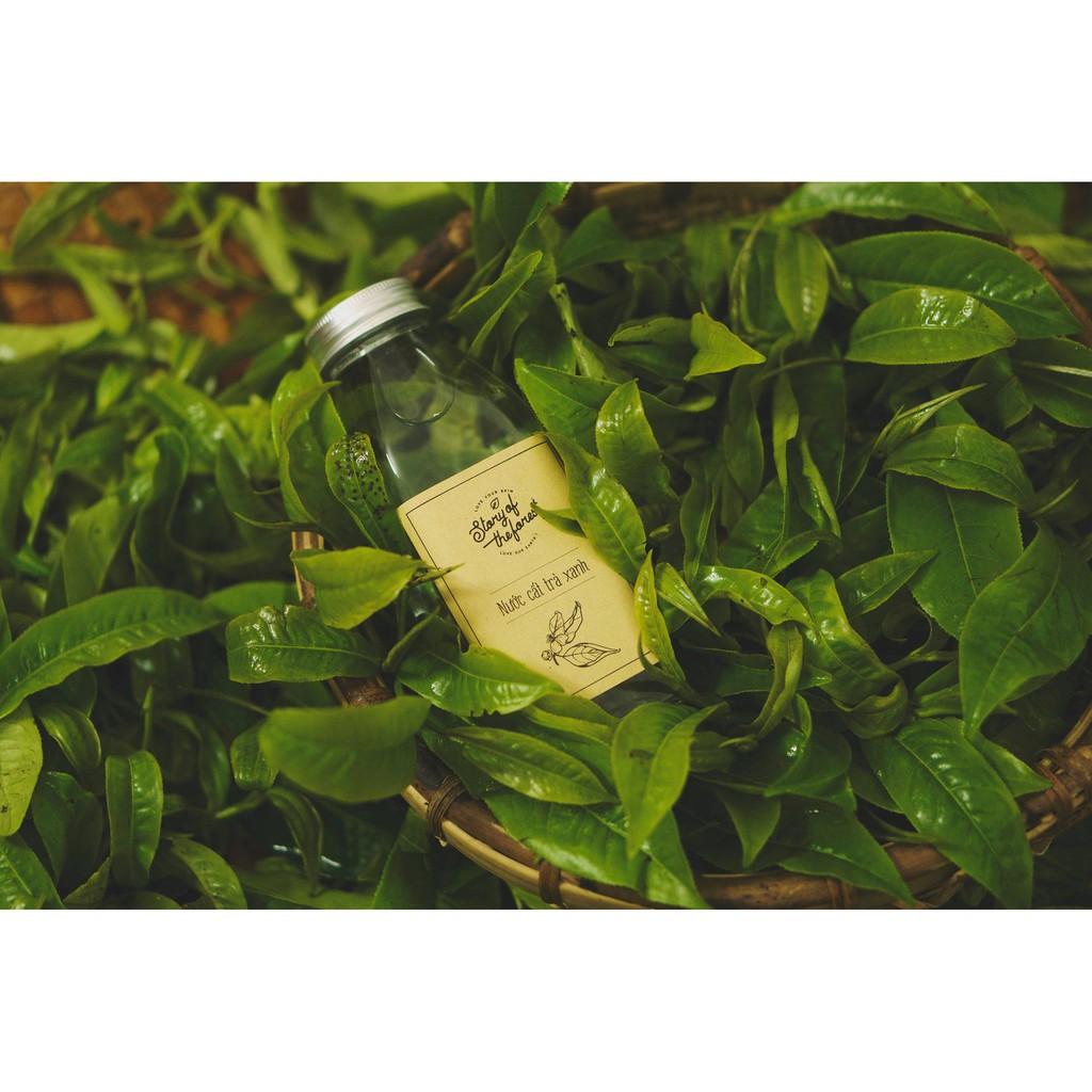 NƯỚC DƯỠNG DA TRÀ XANH