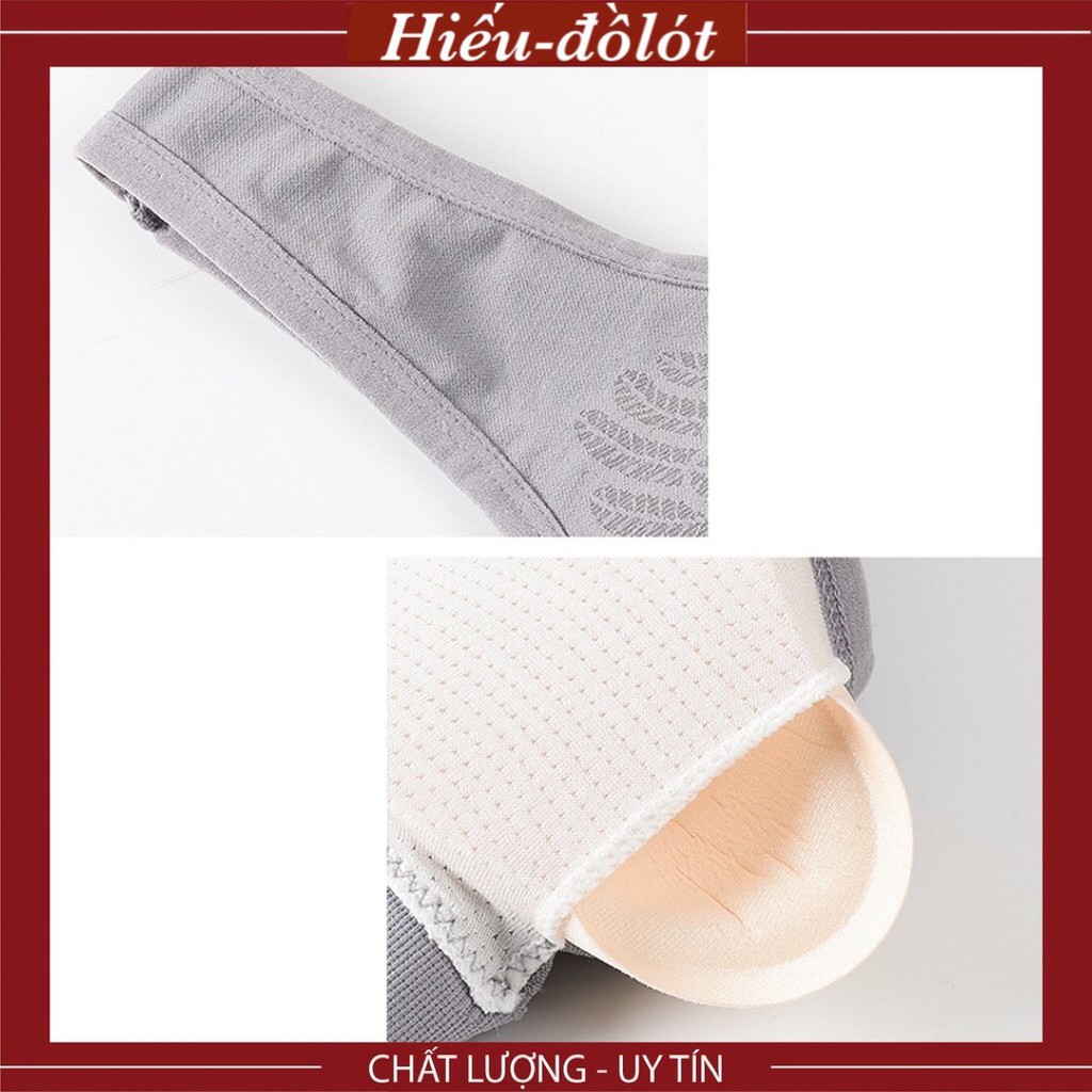 Áo Lót Nữ Cotton Đệm Mỏng Mềm Thoải Mái, Áo Bra Nữ Tập Gym Mặc Cực Đẹp Hieu Store24h - 7702