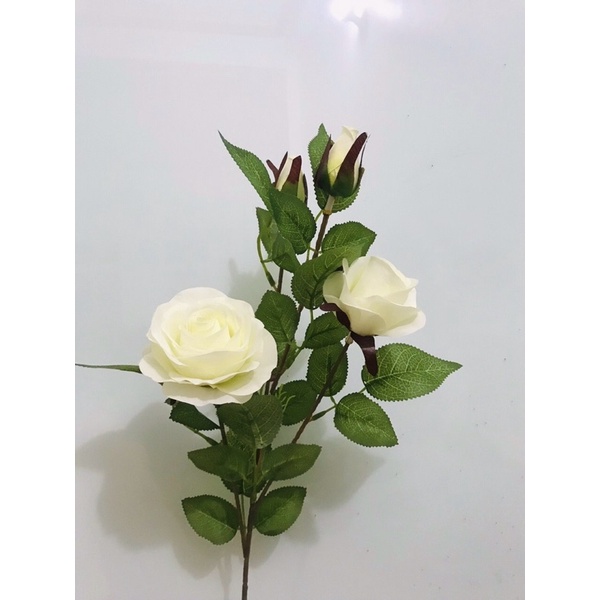 Hoa hồng lộc 4 bông