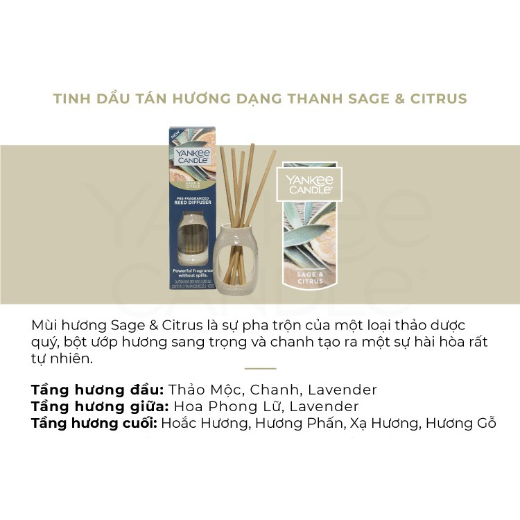 Tinh dầu tán hương dạng thanh Yankee Candle - Sage & Citrus (gồm lọ và 5 thanh tán hương)