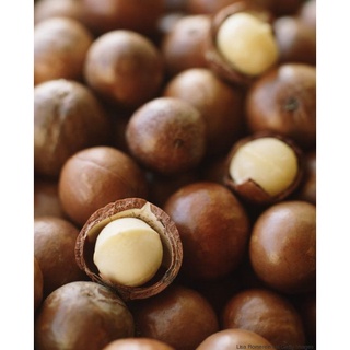 Hạt Macadamia Nứt Vỏ - Lâm Đồng 100% Organic