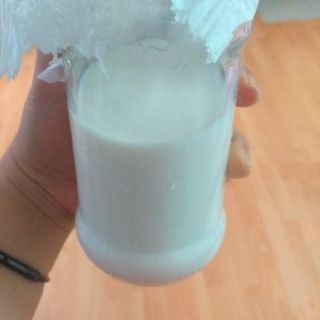 NẤM KEFIR SỮA CHUA HY LẠP (NẤM TUYẾT)