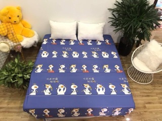 Bộ ga - gối cotton poly