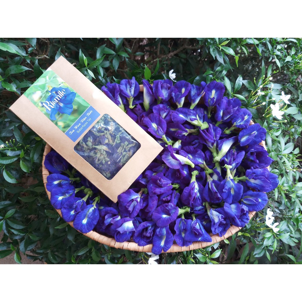 Trà hoa đậu biếc Rismile | BigBuy360 - bigbuy360.vn