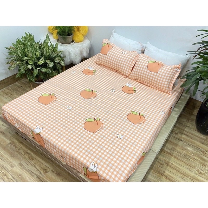 Trọn bộ 5 món chăn ga gối Poly set hè và set phao-mẫu đào kẻ cam | WebRaoVat - webraovat.net.vn