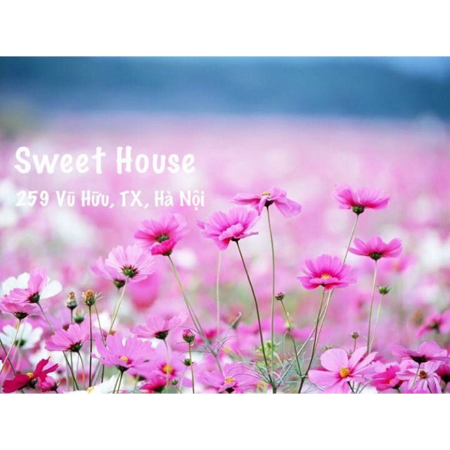 sweethouse259vuhuu