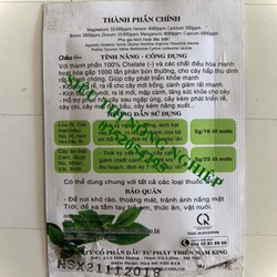 Kích rễ cực mạnh - giâm chiết cành - tỉa cành cho cây trồng