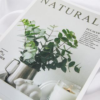 Tấm bìa chụp ảnh