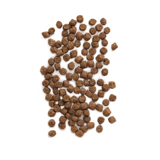 EARTHBORN HOLISTIC CAT FOOD - THỨC ĂN CAO CẤP CHO MÈO TỪ MỸ BAO 2KG