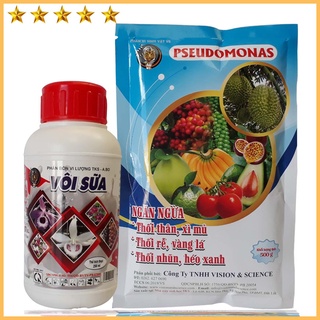[Bộ Đôi] Trừ Bệnh Héo Xanh, Thối Rễ Vàng Lá: Pseudomonas Và Vôi Sữa