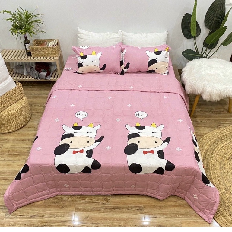 Bộ chăn hè ga gối 5 món Cotton poly - Nhiều mẫu lựa chọn , grap , ga chun , chăn ga gối , vỏ gối , chăn , mền | WebRaoVat - webraovat.net.vn