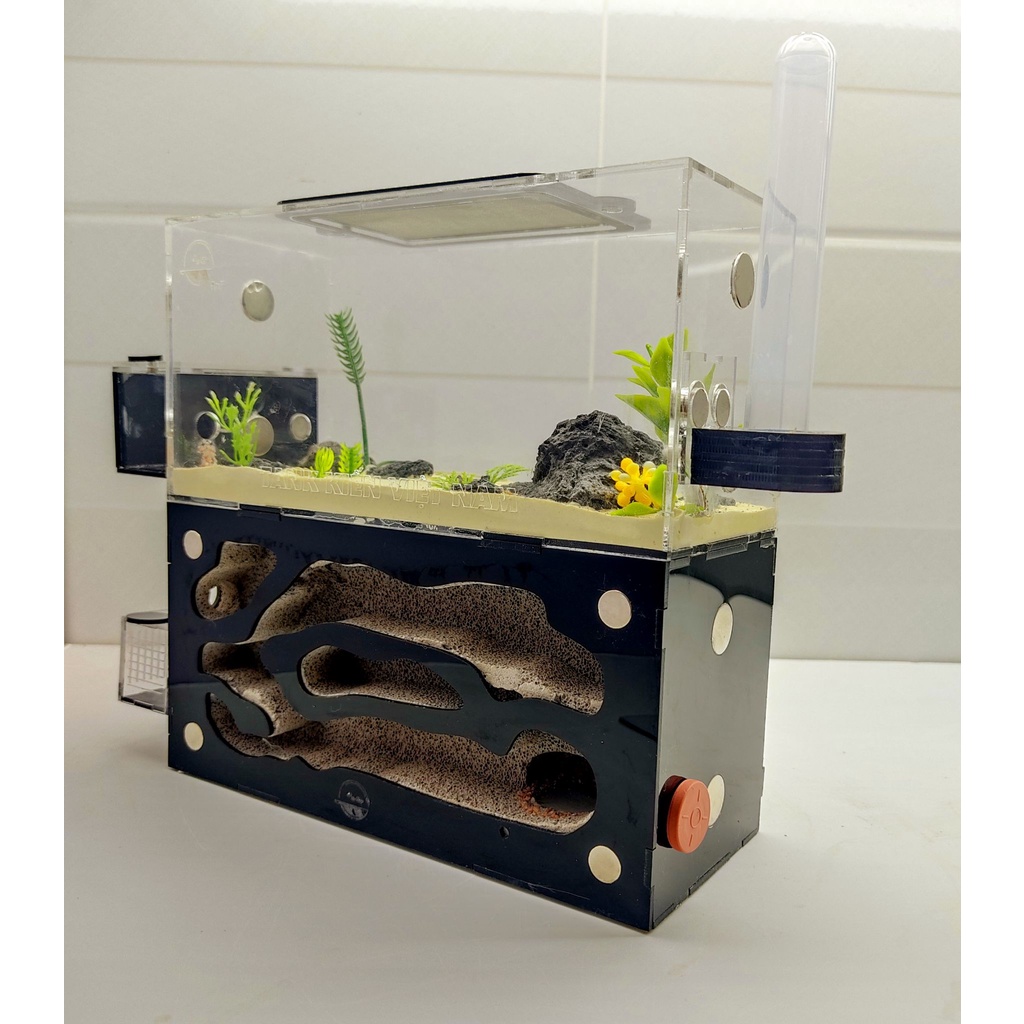 Hộp nuôi kiến- D03 - Ant farm - Formicarium - Tank kiến - Chuồng nuôi kiến -  Nhà cho kiến