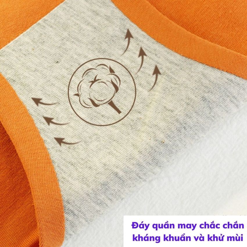 Quần lót nữ cotton cao cấp, quần chíp kháng khuẩn thoáng mát mềm mịn ôm dáng Bellar_bra L155