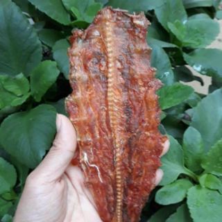 Cá Mối Tẩm Khô