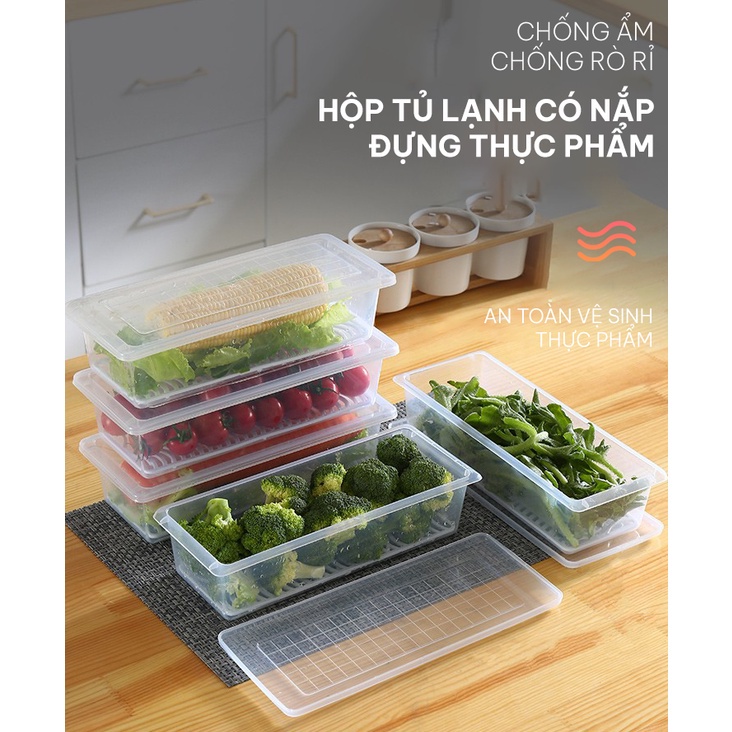 Hộp Tủ Lạnh ,Hộp Thực Phẩm Đựng rau ,Hoa Quả. Đựng Thức Ăn Có Khay Giáo Nước Bằng Nhựa PP Cao Cấp An Toàn Sức Khỏe