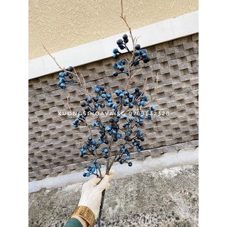 Cành trái việt quất