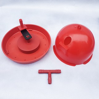 Máng uống tự động cho gà con