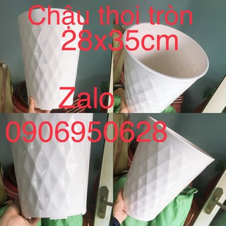 Chậu nhựa thoi tròn trắng có 2 size