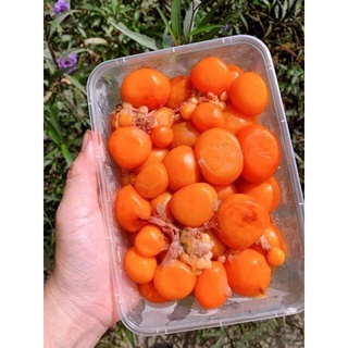 TRỨNG GÀ NON - hộp 500g (nowship)