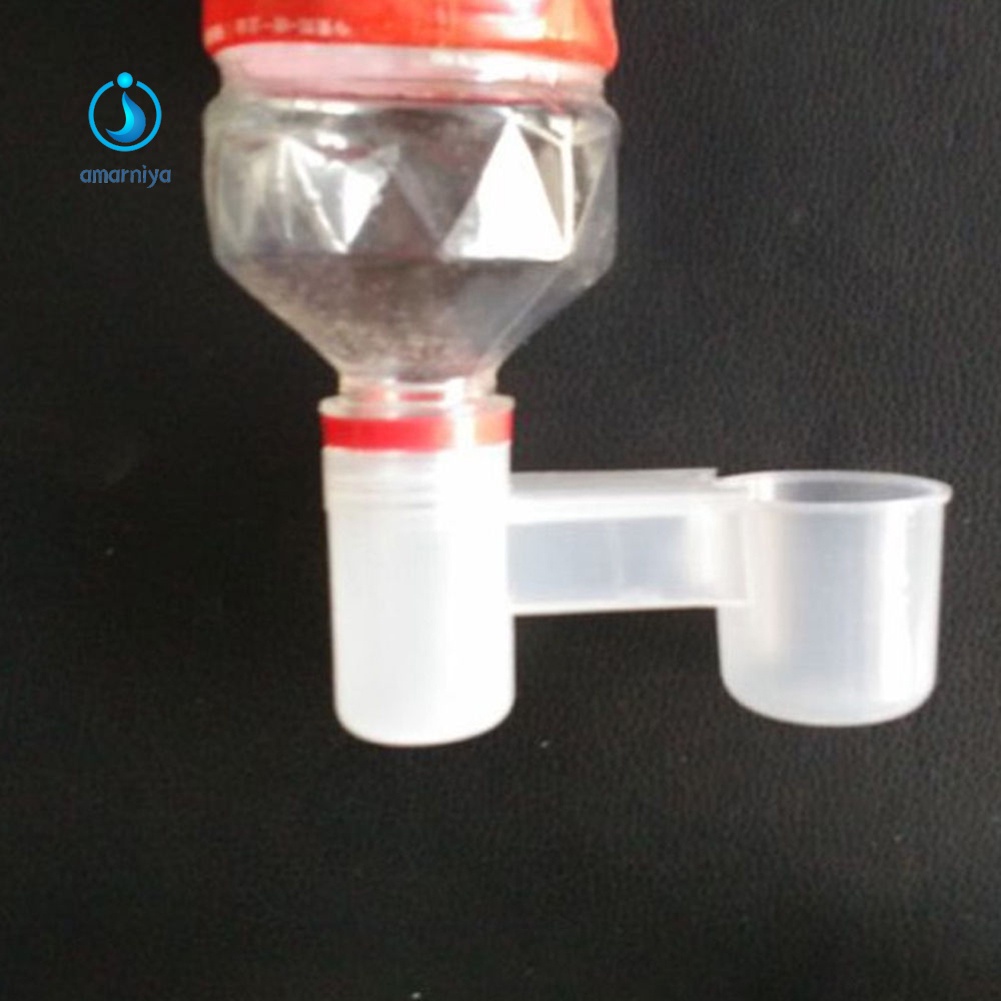 Dụng cụ đựng nước uống bằng nhựa tiện dụng cho chim cảnh