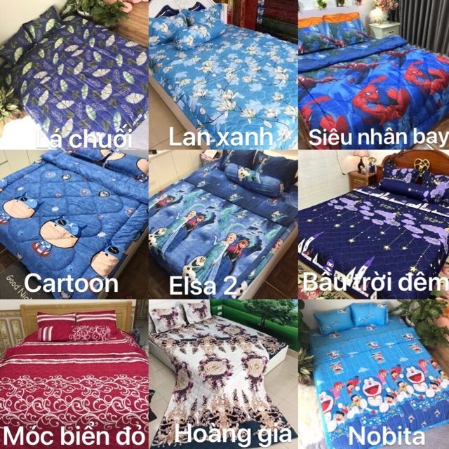Ga và 2 vỏ gối cotton poly. Chat chọn mẫu