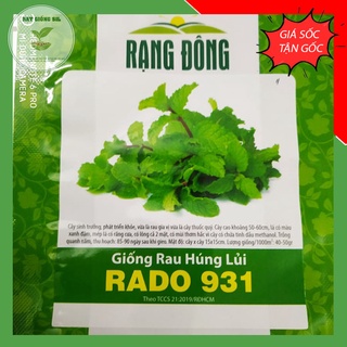 Hạt giống Húng lủi phát triển tốt, ăn ngon , sỉnh trưởng mạnh