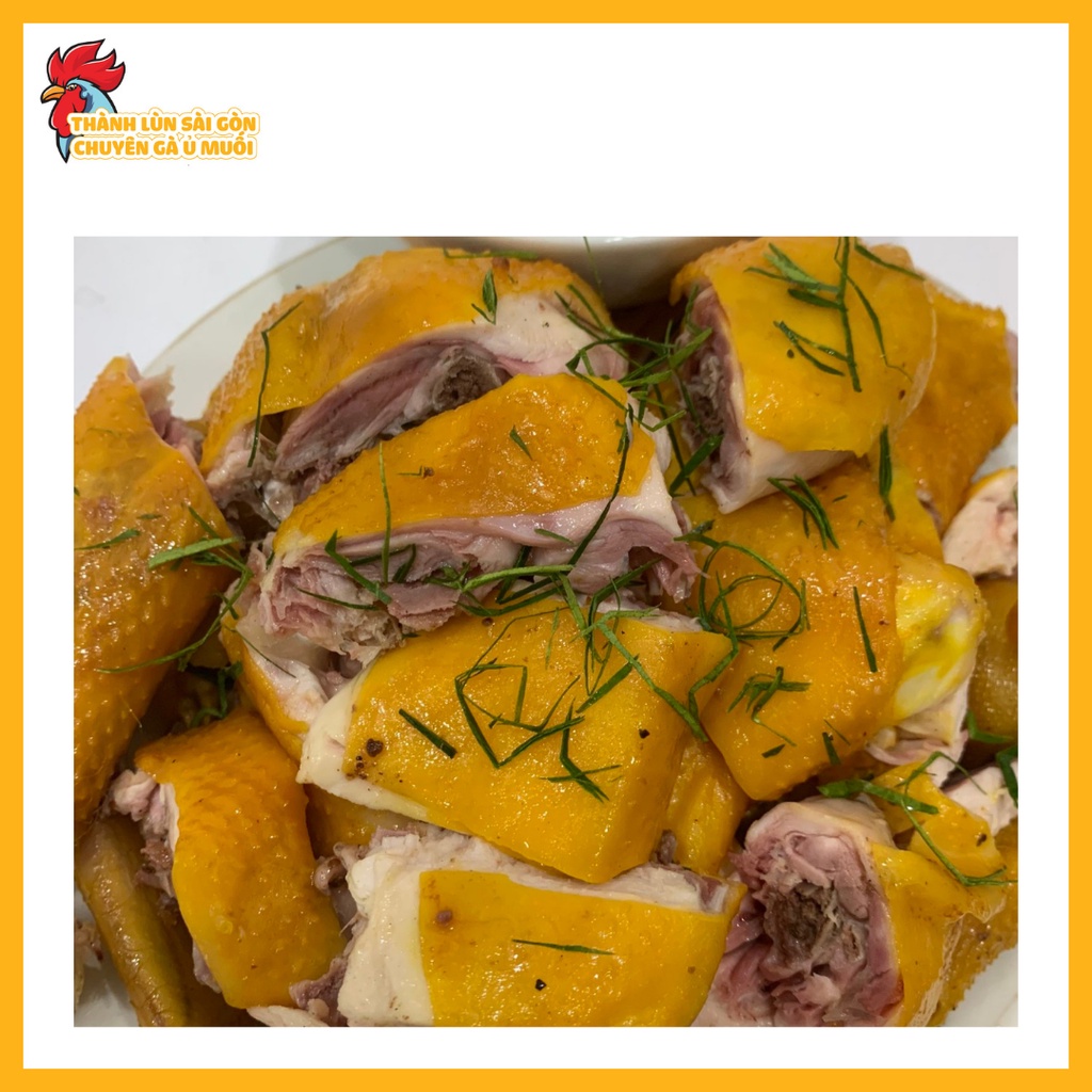 Gà Ủ Muối Hoa Tiêu Thái Nguyên - Nguyên Con Chất Lượng
