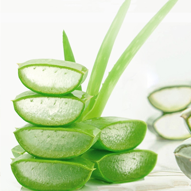 Mặt nạ QISE ngủ chiết xuất từ lô hội giúp cấp ẩm se khít lỗ chân lông hiệu quả | BigBuy360 - bigbuy360.vn