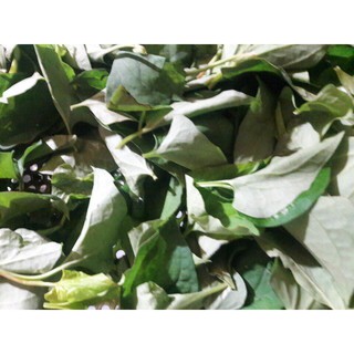 Bột rau diếp cá nguyên chất (túi 100g, 200g, 500g)
