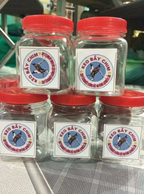 5 lọ keo bẫy chim