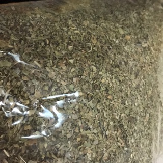 Lá oregano