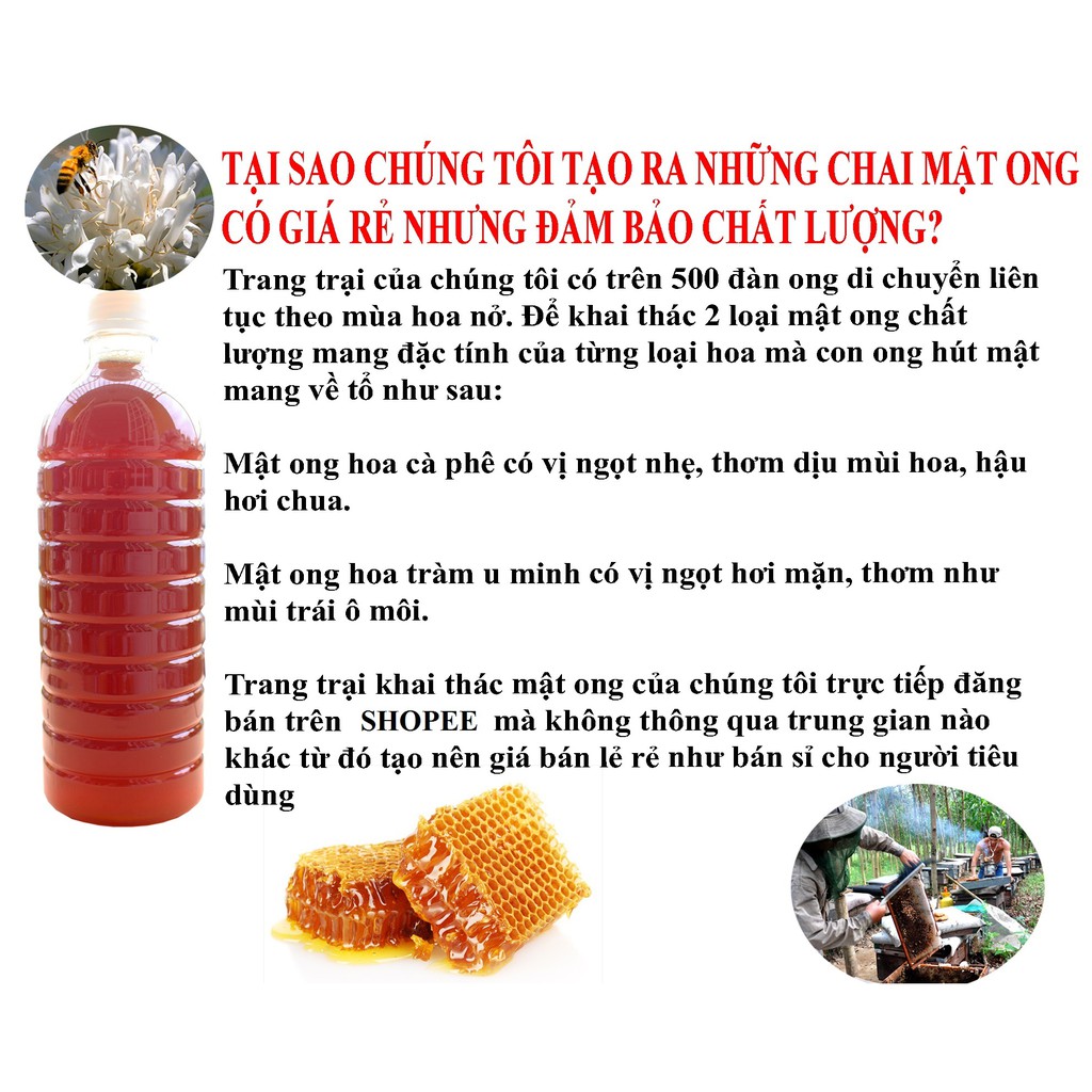 Mật Ong Rừng Tràm 500ml (Giá Gốc, Bao Đủ Lít)